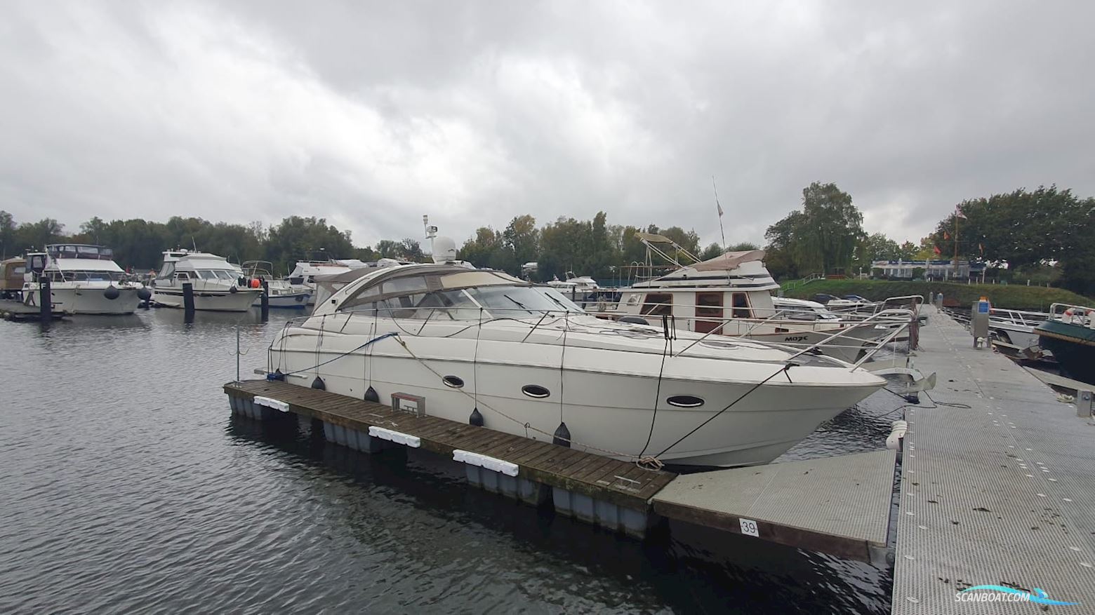 Bavaria S 37