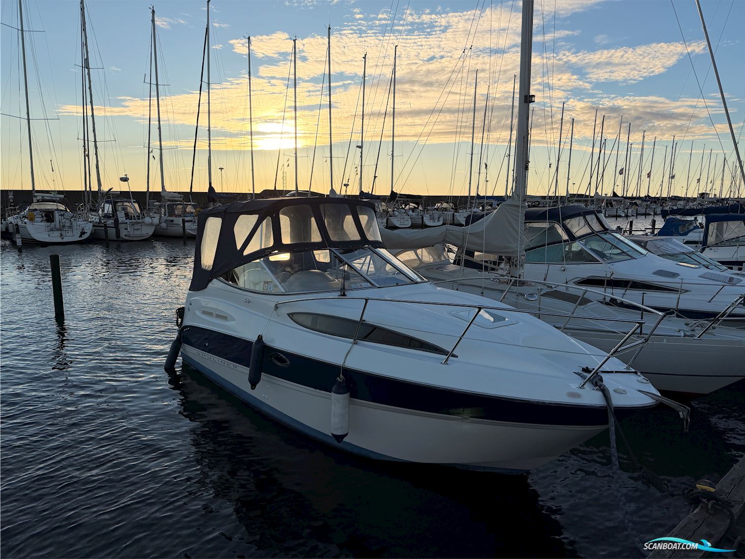 Bayliner 245 Ciera