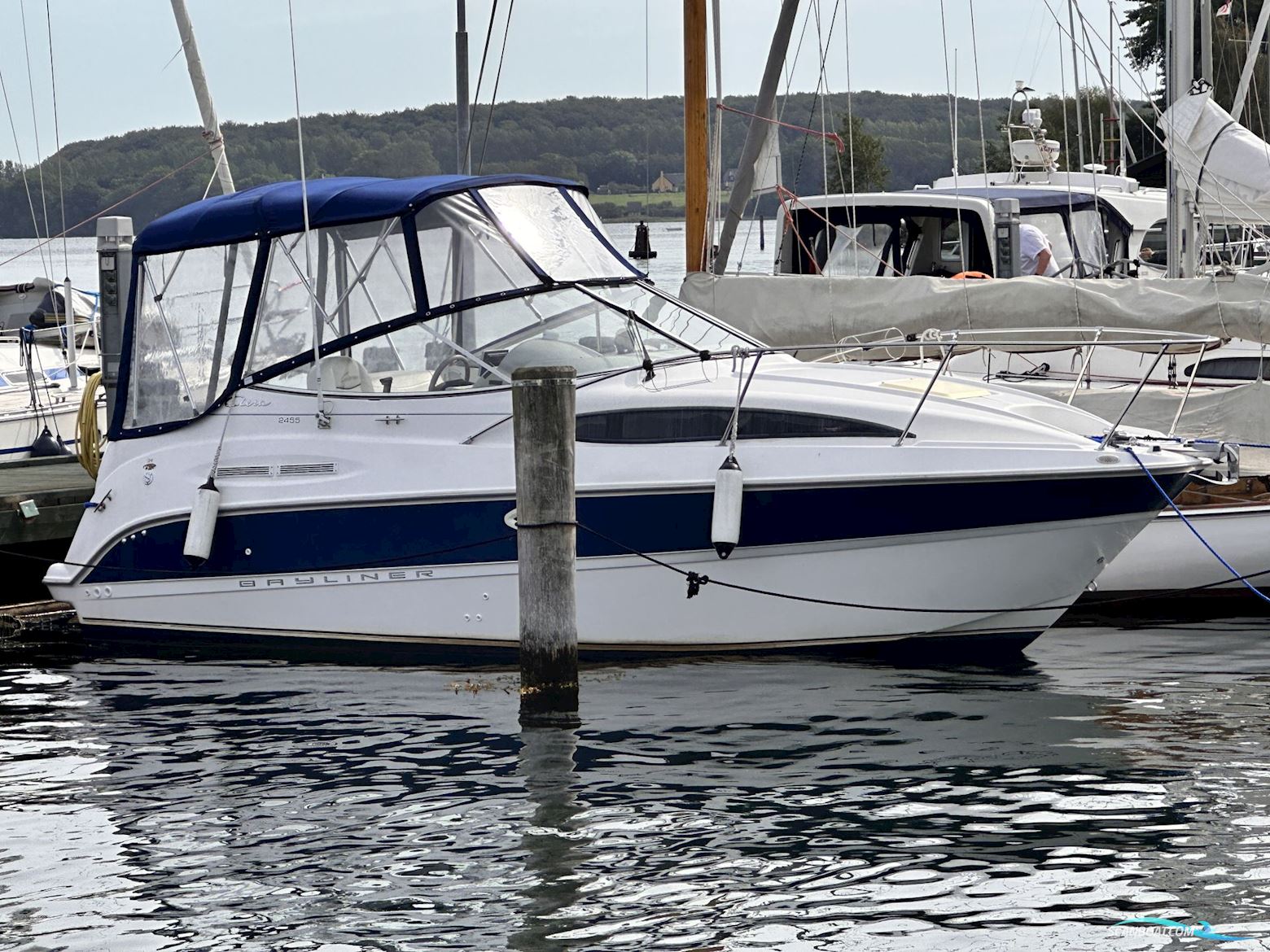 Bayliner 2455