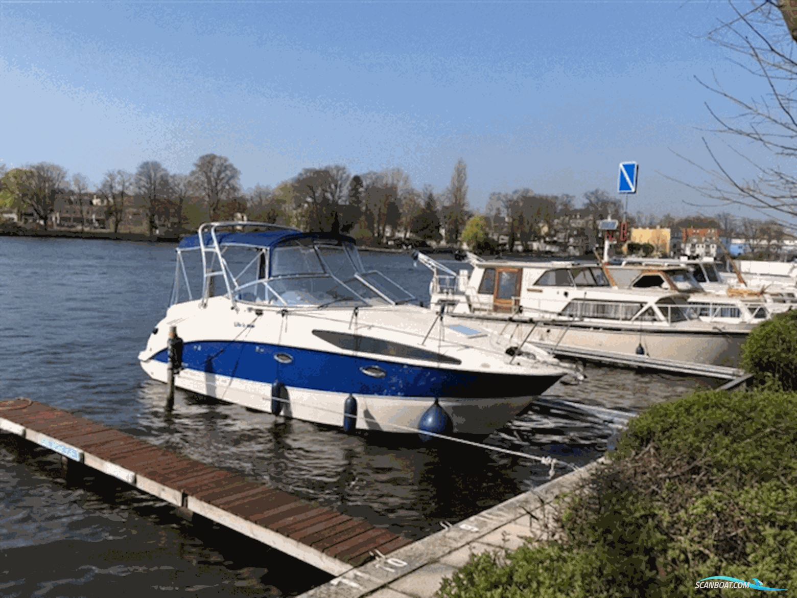 Bayliner 265