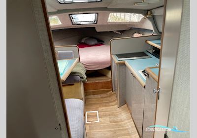 Bayliner 2855 Motorbåd 1988, med Mercury motor, Danmark