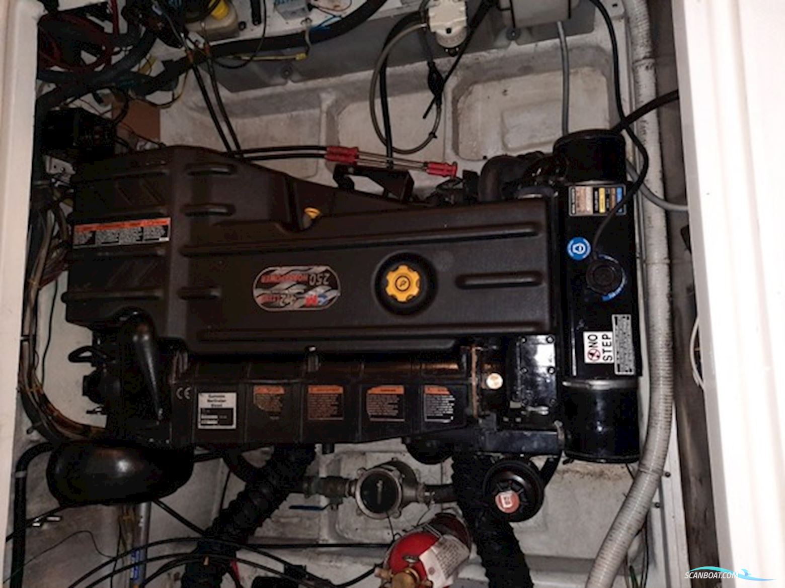 Bayliner 288 Flybridge Årg. 2008 - 250 HK DIESEL...