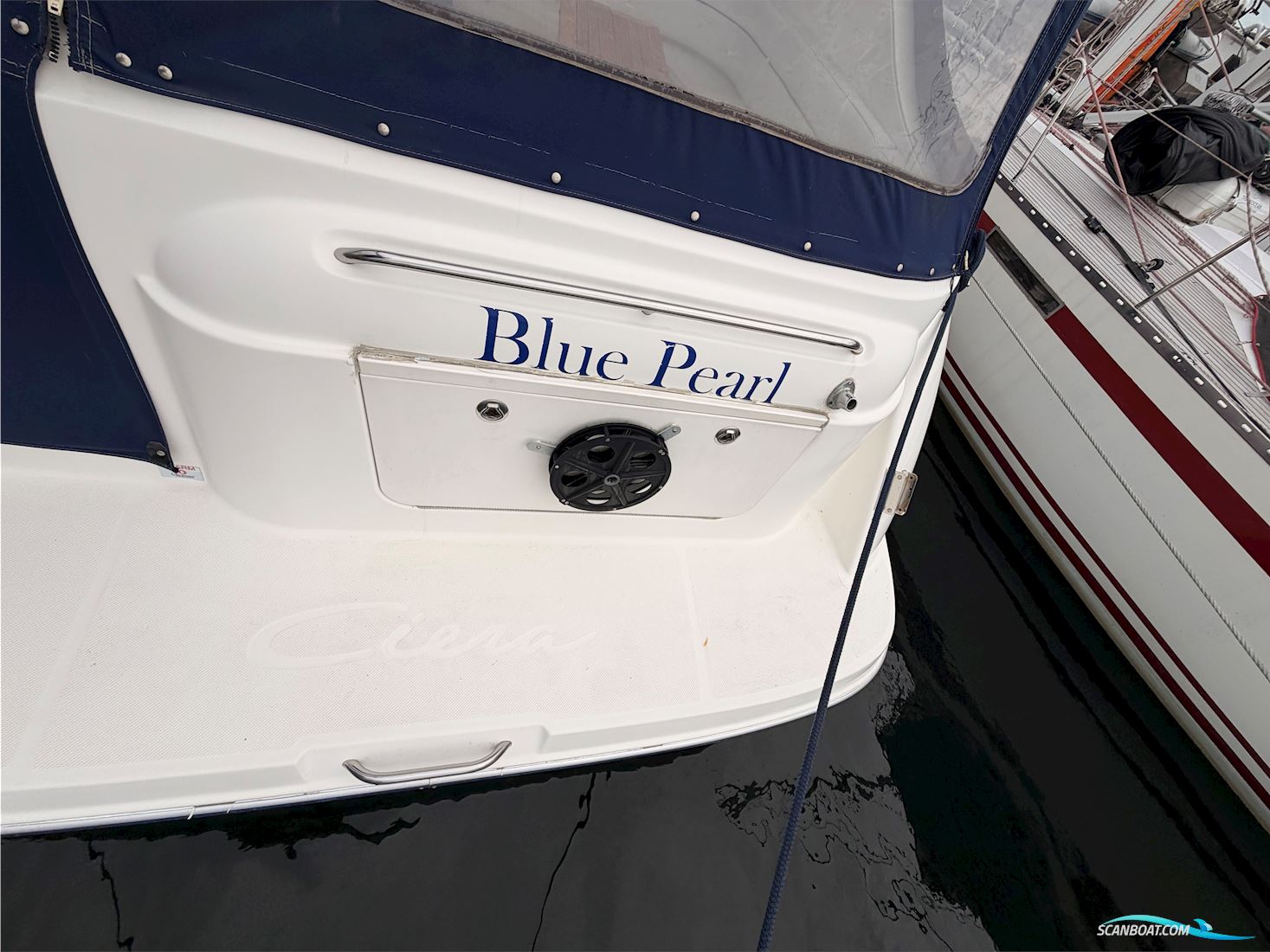 Bayliner 305