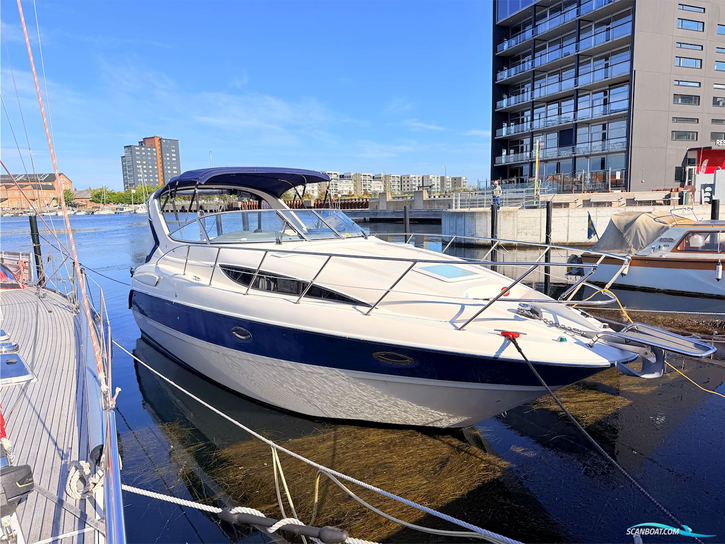 Bayliner 305