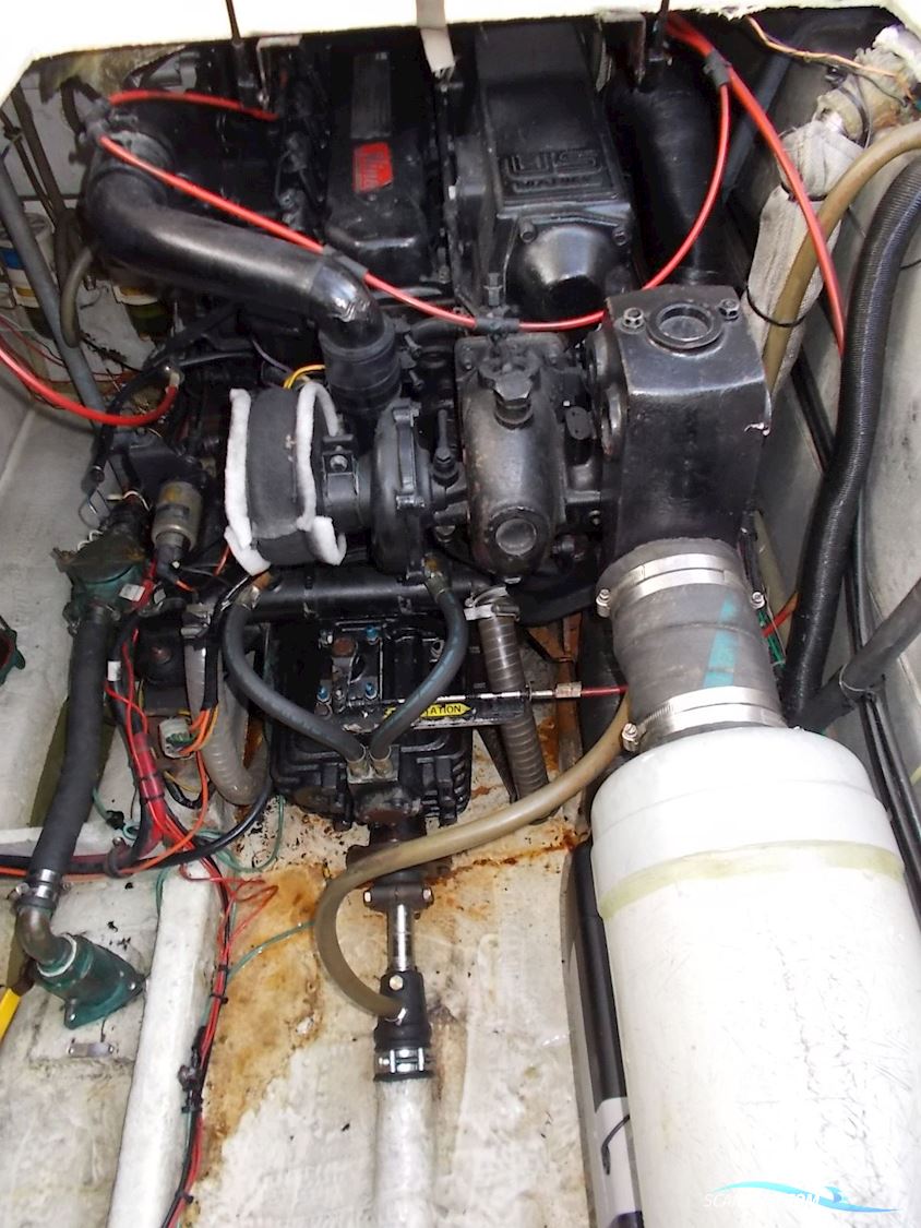 Bayliner 3288 Flybridge Flot Stand