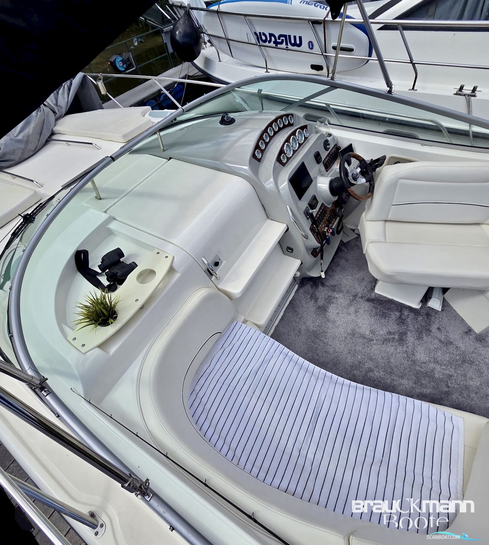 Bayliner 335