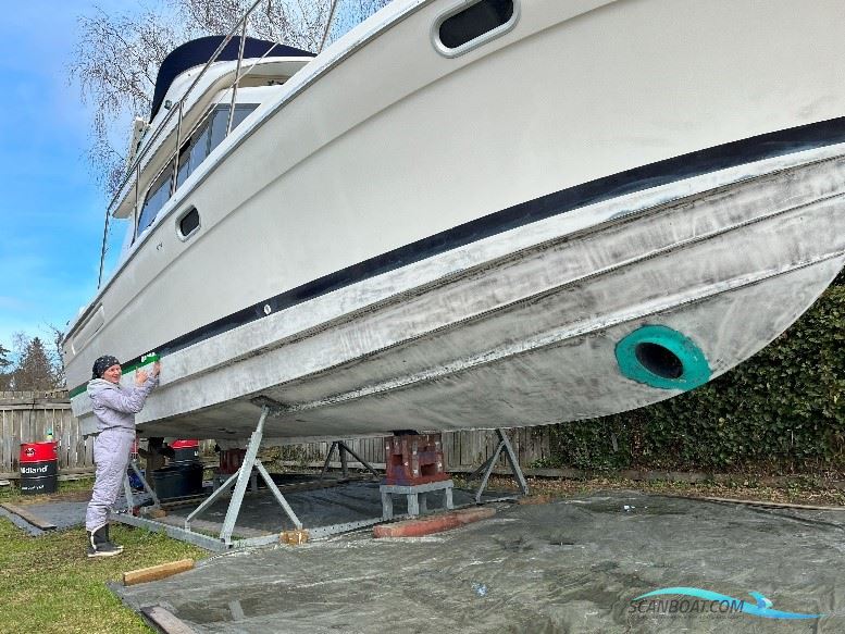 Bayliner 3388 Flybridge