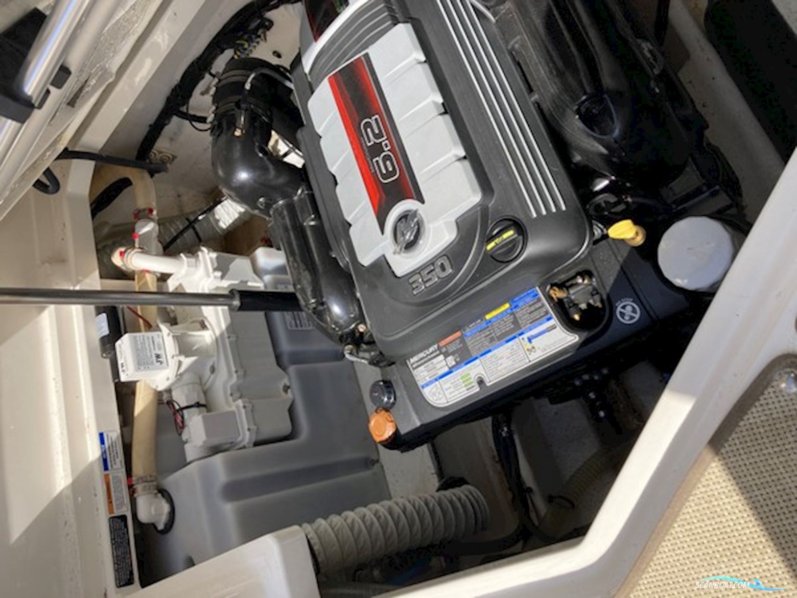 Bayliner 842 (nedsat 200.000,- )