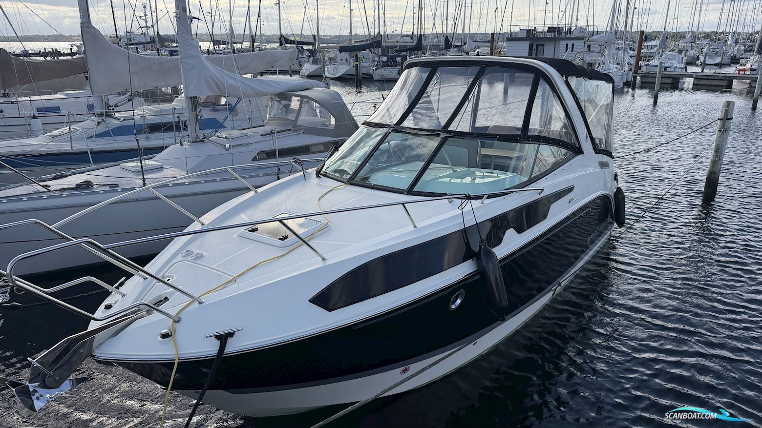 Bayliner Ciera 8