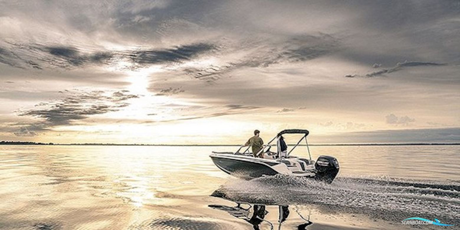 Bayliner M17