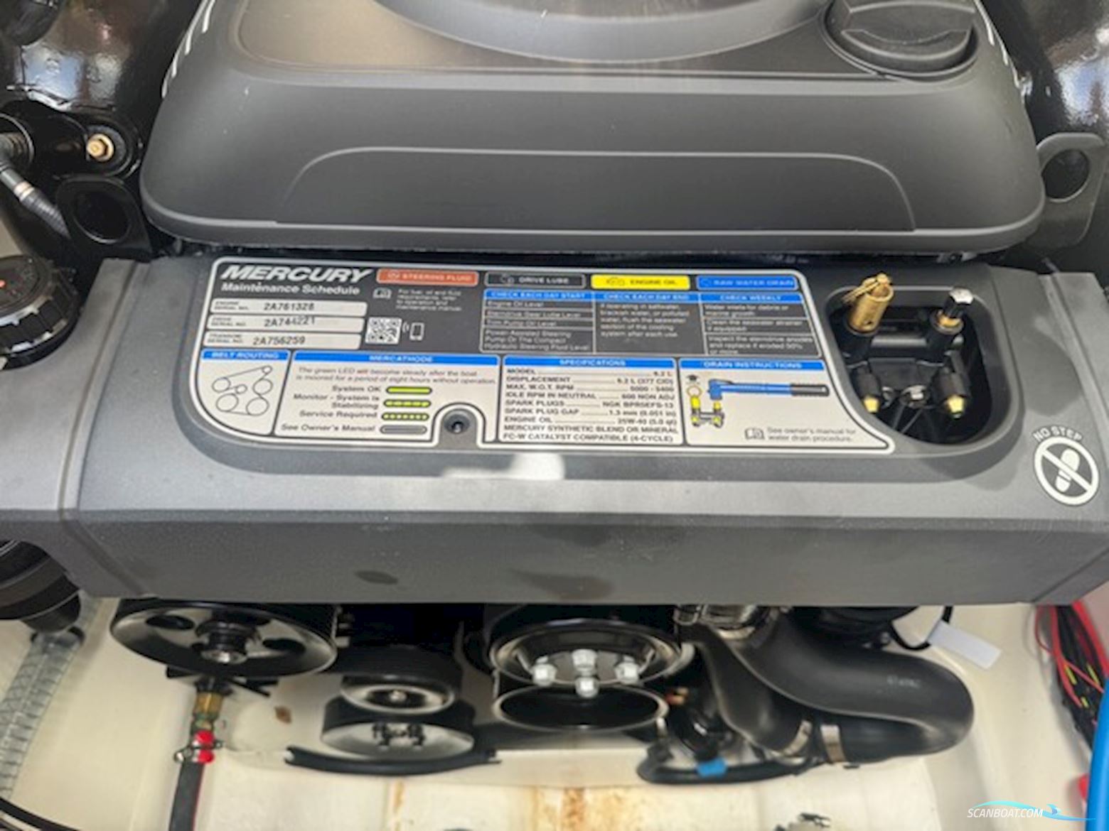 Bayliner VR6 Cuddy Med 300 hk Mercruiser-Efi V8 6,2L og 2700 kg Variant Bådtrailer
