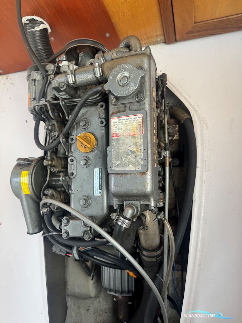 Bella 702