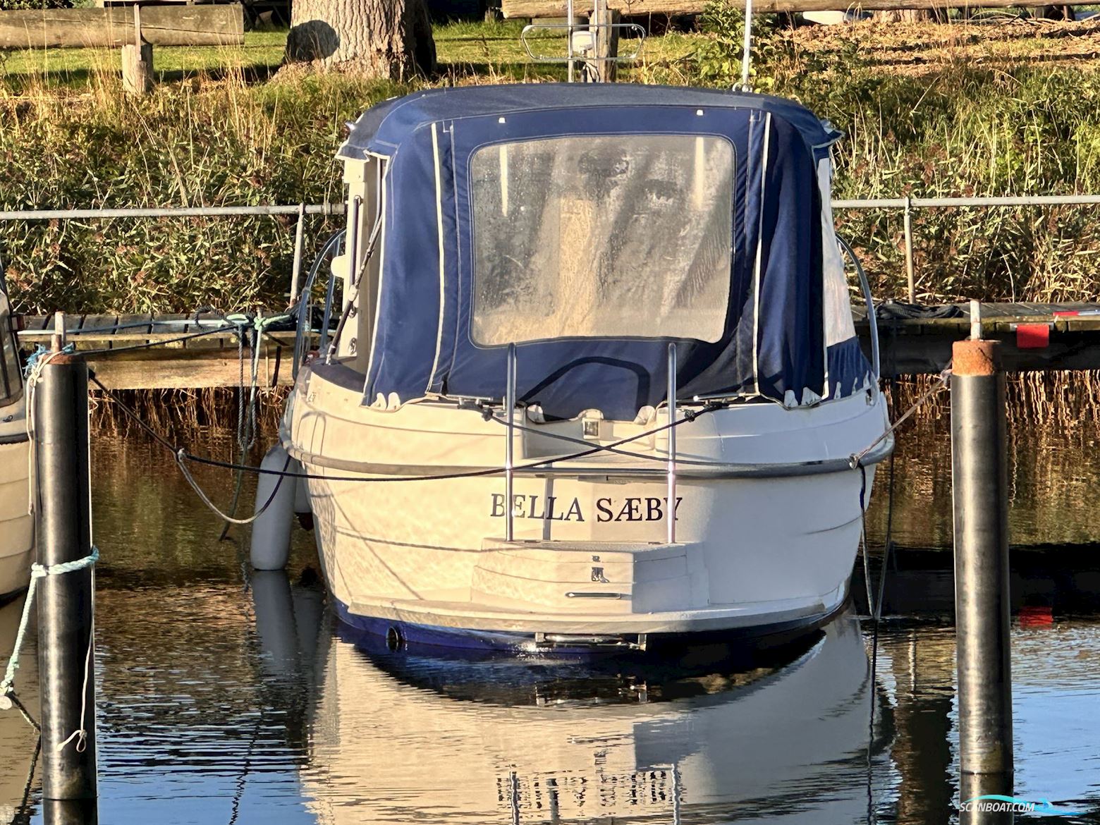Bella 703
