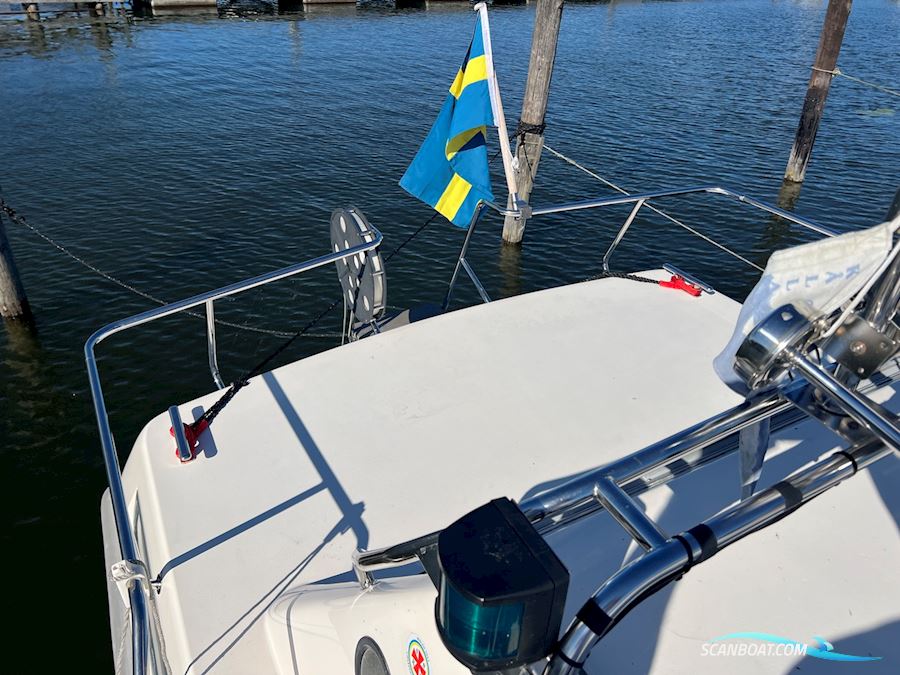 Bella 800 Delphin