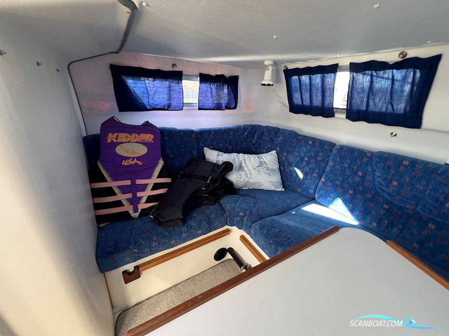 Bella 800 Delphin