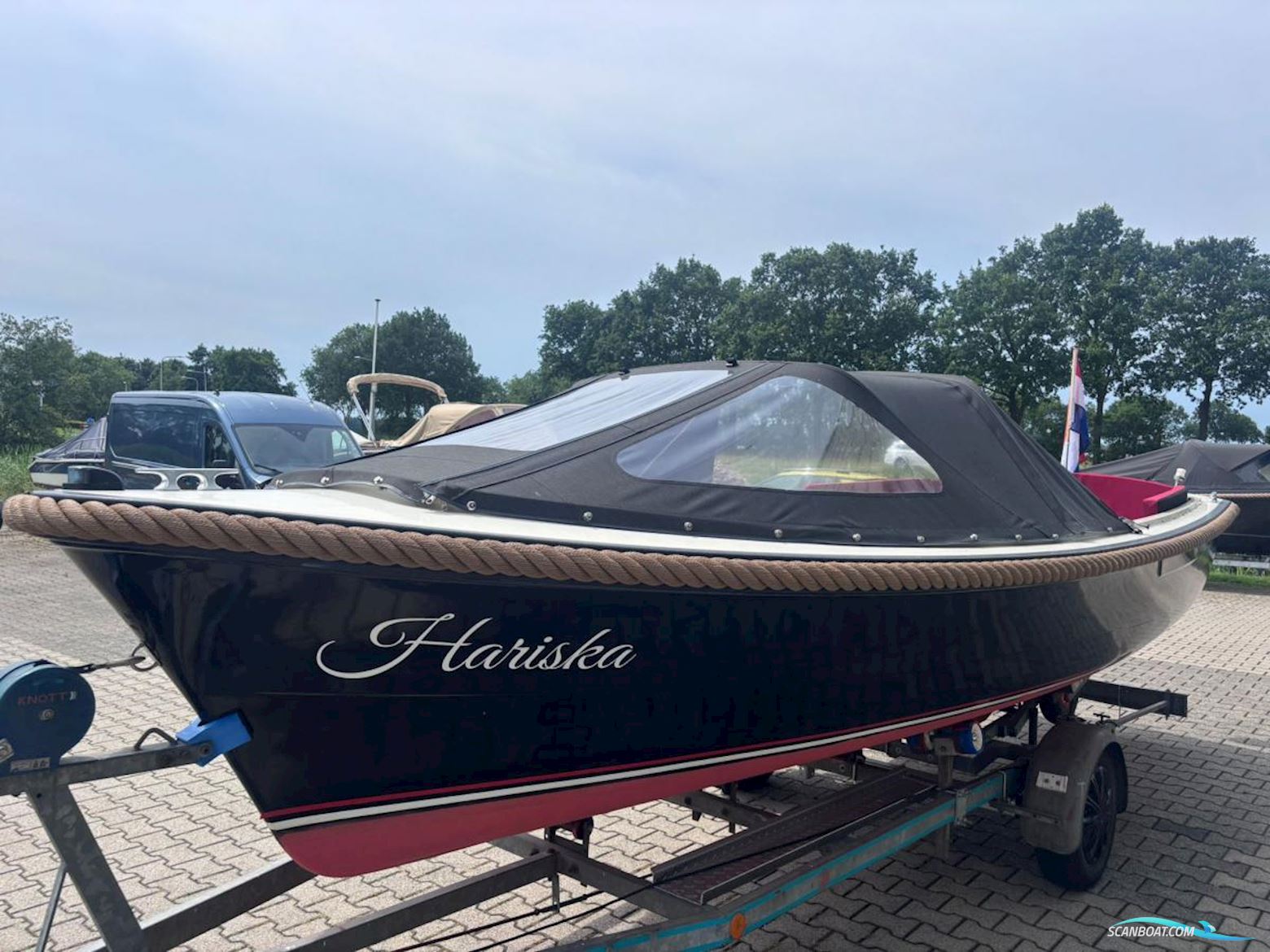 Bellus 580