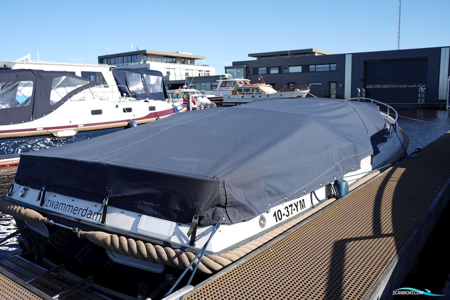 Bellus 750