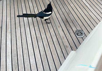 Beneteau Antares 9.80 Motorbåd 2005, med Volvo D4 - 210 motor, Spanien