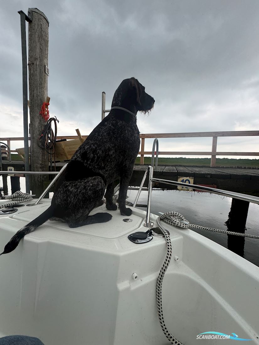 Beneteau Barracuda 7