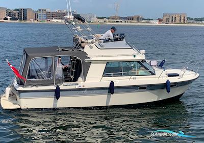 Bertram 30 Fly Motorbåd 1986, med Yanmar motor, Danmark