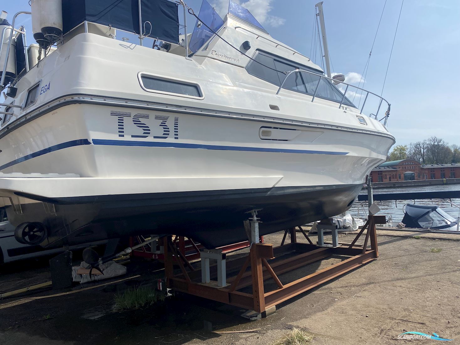 Birchwood 31TS