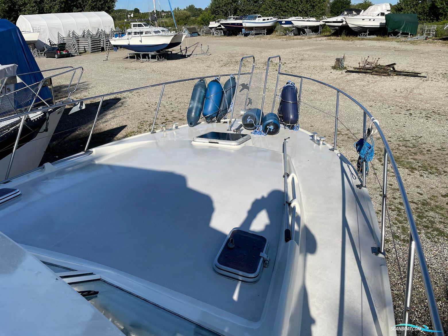 BIRCHWOOD 37 President