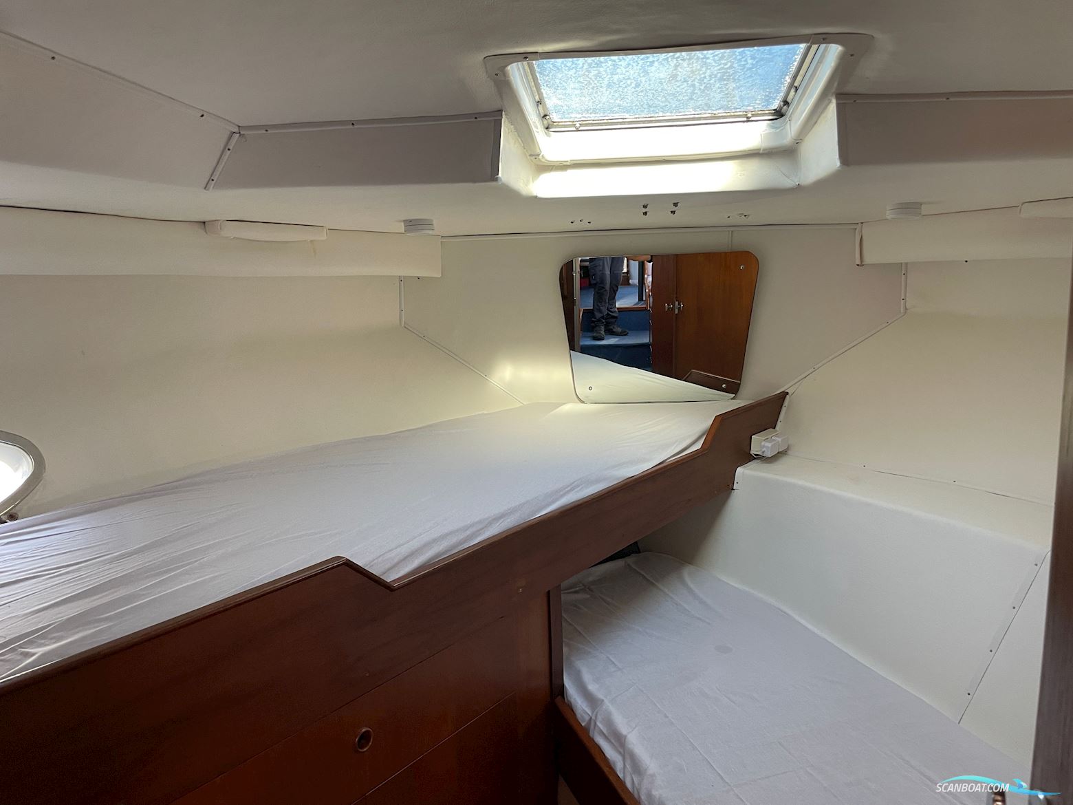 BIRCHWOOD 37 President