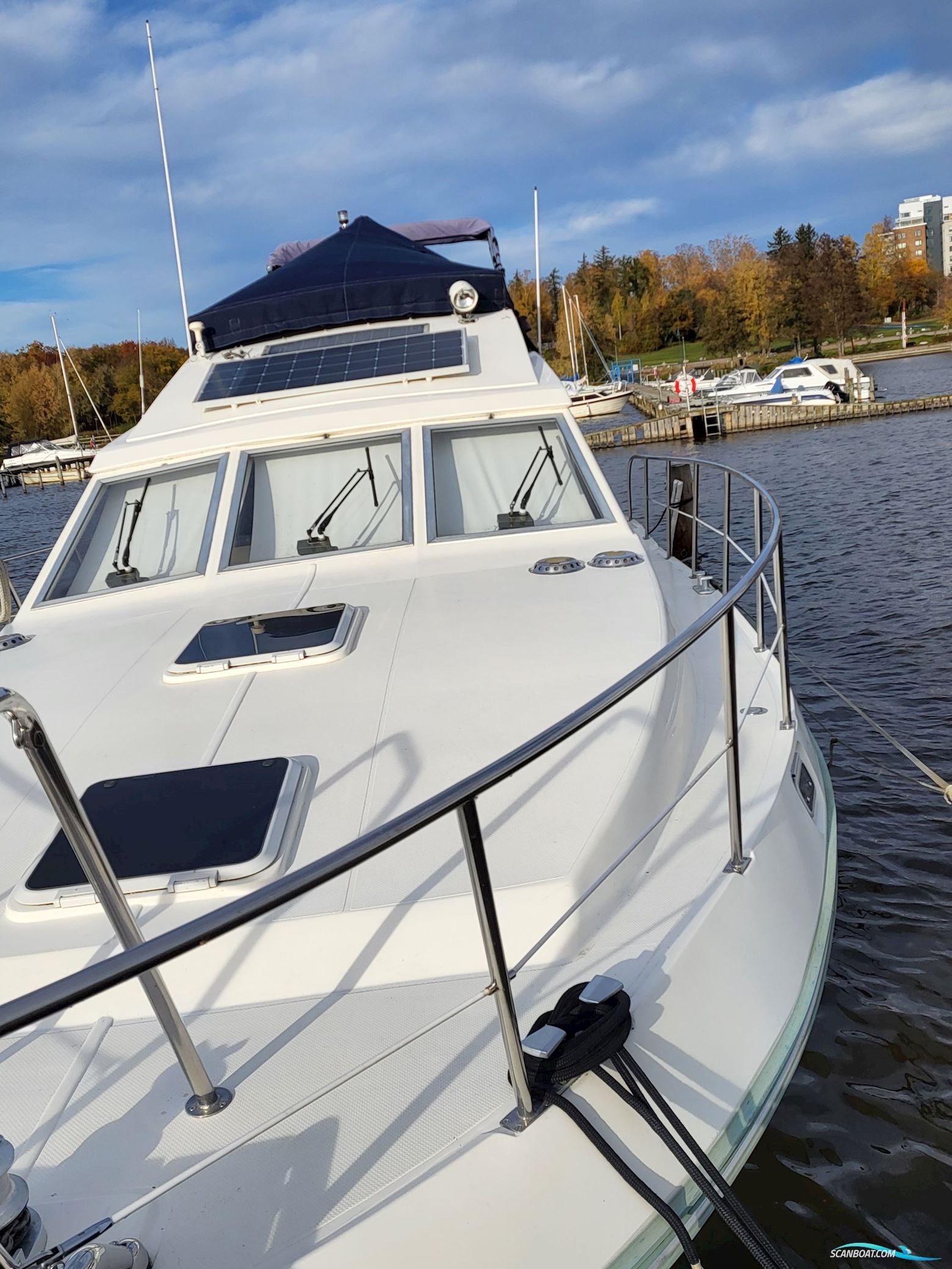 Birchwood ts 37 Höst pris innan upptagning