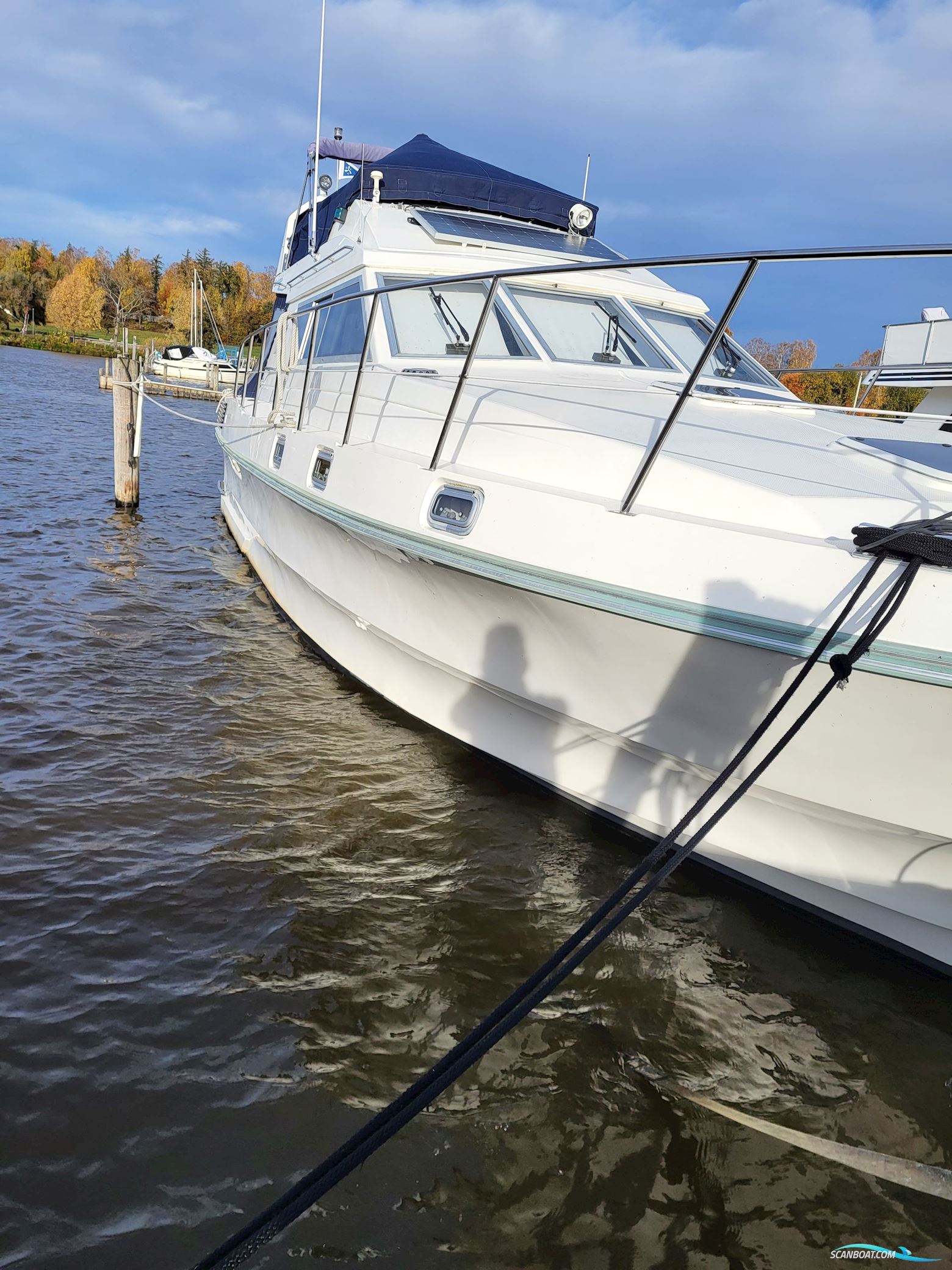 Birchwood ts 37 Höst pris innan upptagning