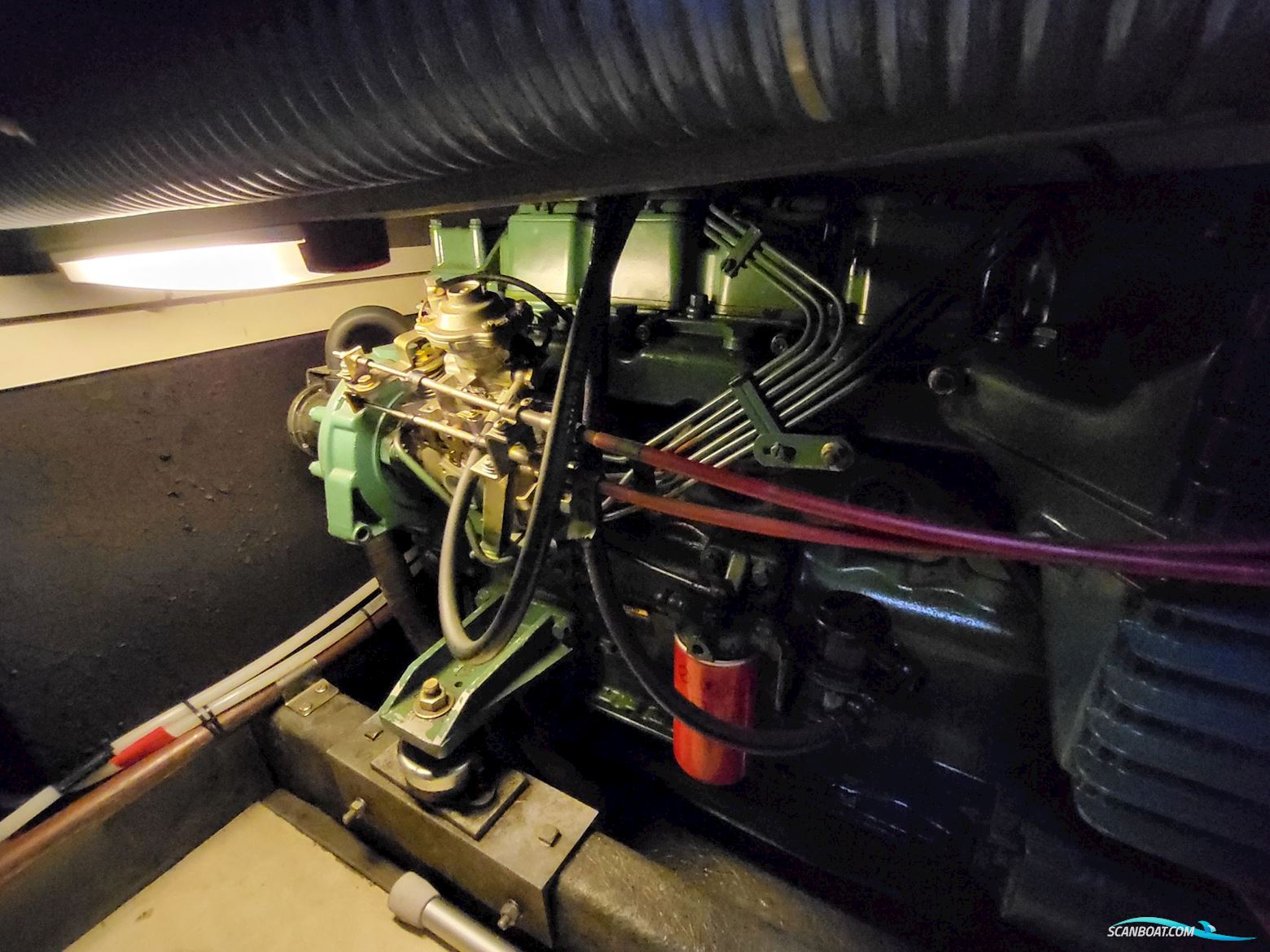 Birchwood ts 37 Höst pris innan upptagning