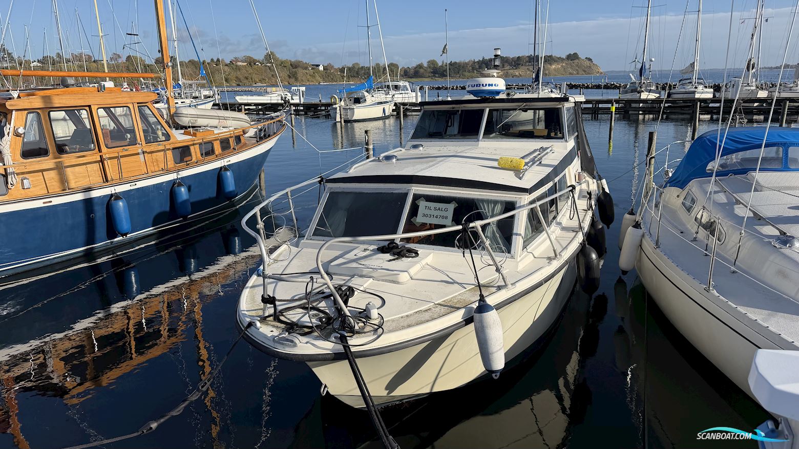 Birckwood 25 HT