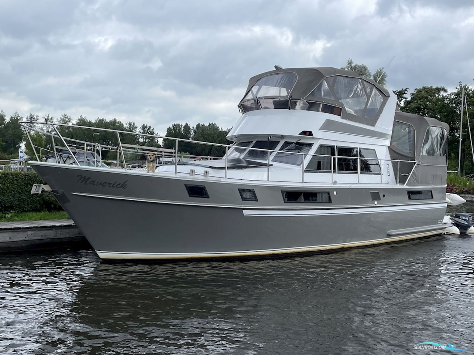 Blauwe Hand Commander