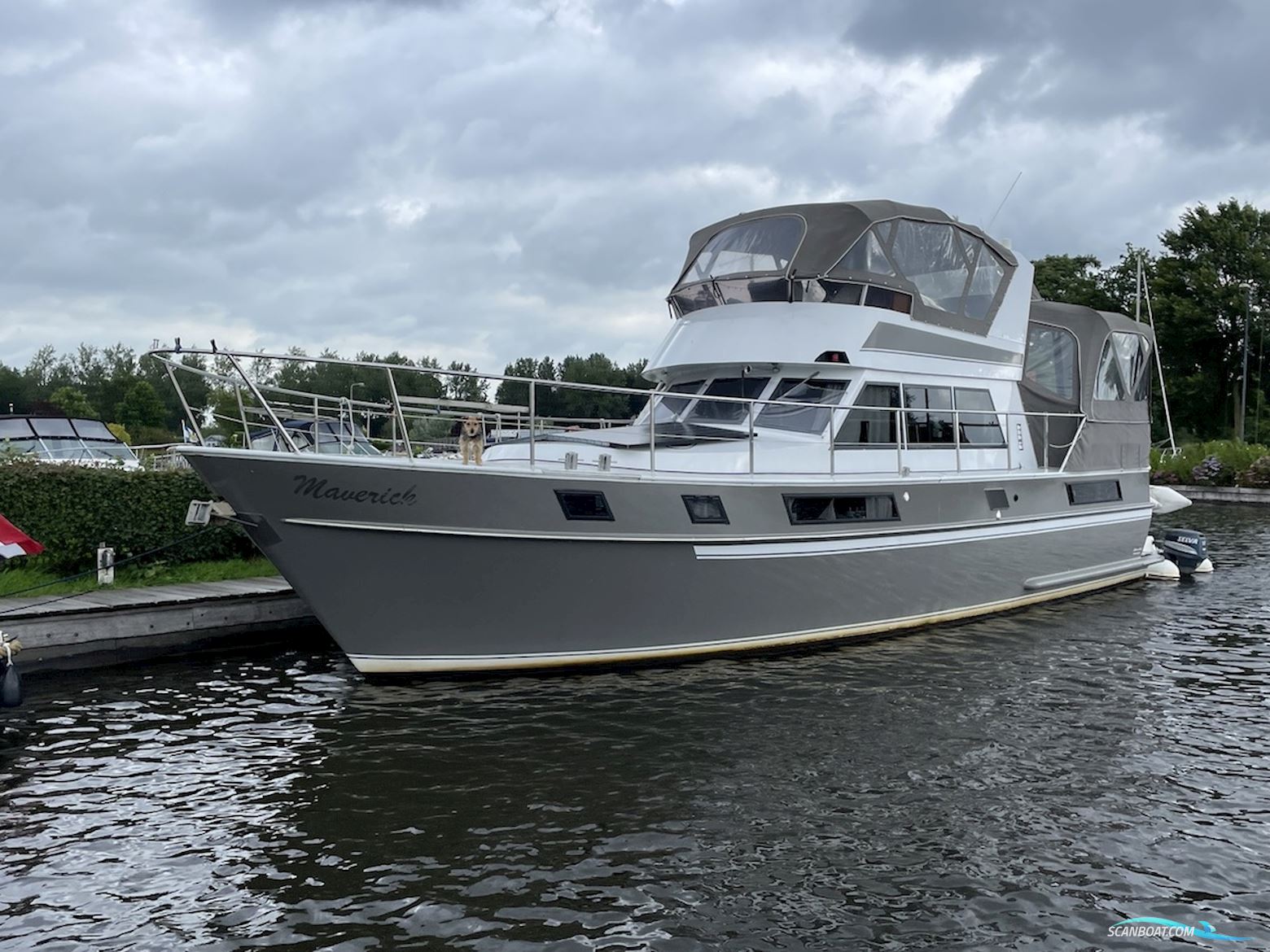 Blauwe Hand Commander