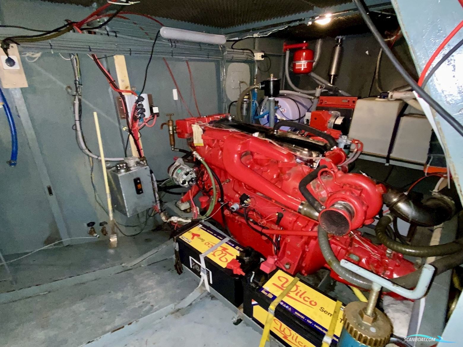 Blauwe Hand Commander