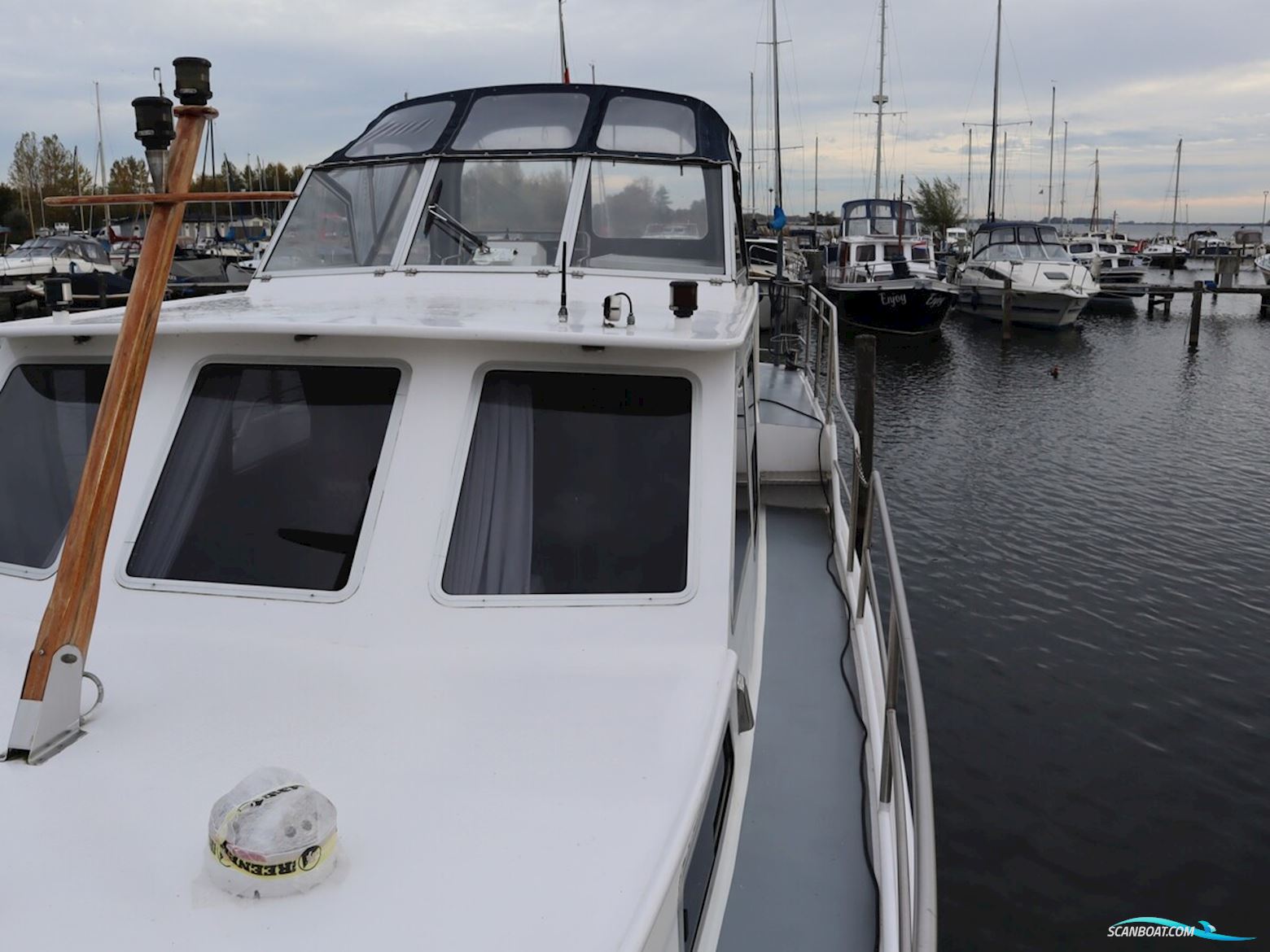 Blauwe Kruisvaarder 12.5