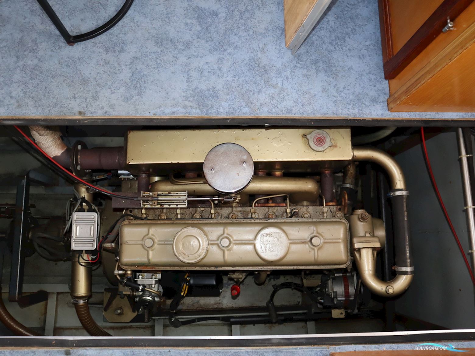 Blauwe Kruisvaarder 12.5