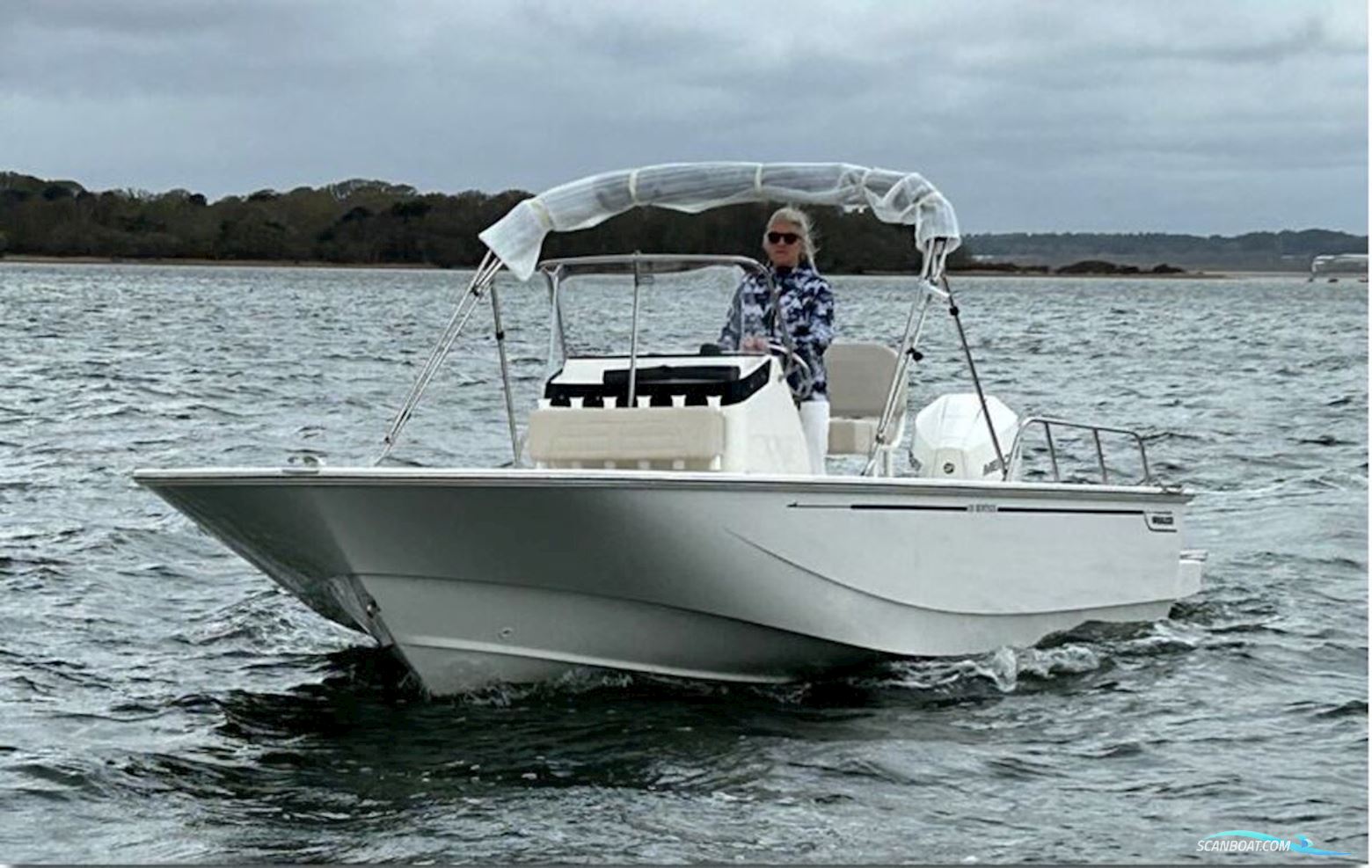 Boston Whaler 210 Montauk