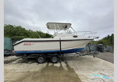 Boston Whaler 23 Conquest Motorbåd 1999, med Hyundai Marine motor, Irland