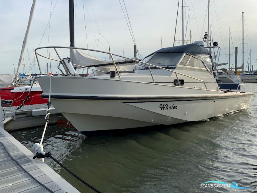 Boston Whaler Revenge 25 Walk Around - Ny Motor / New Engine Motorbåd 1989, med Mercruiser 6.2L 300 motor, Tyskland