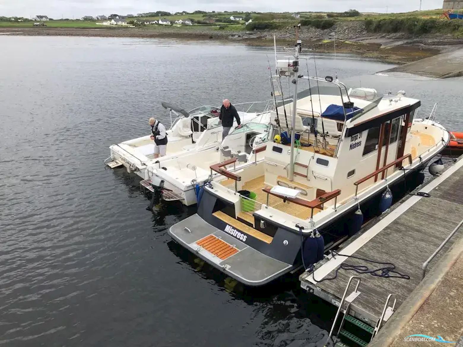 Botnia Targa 31