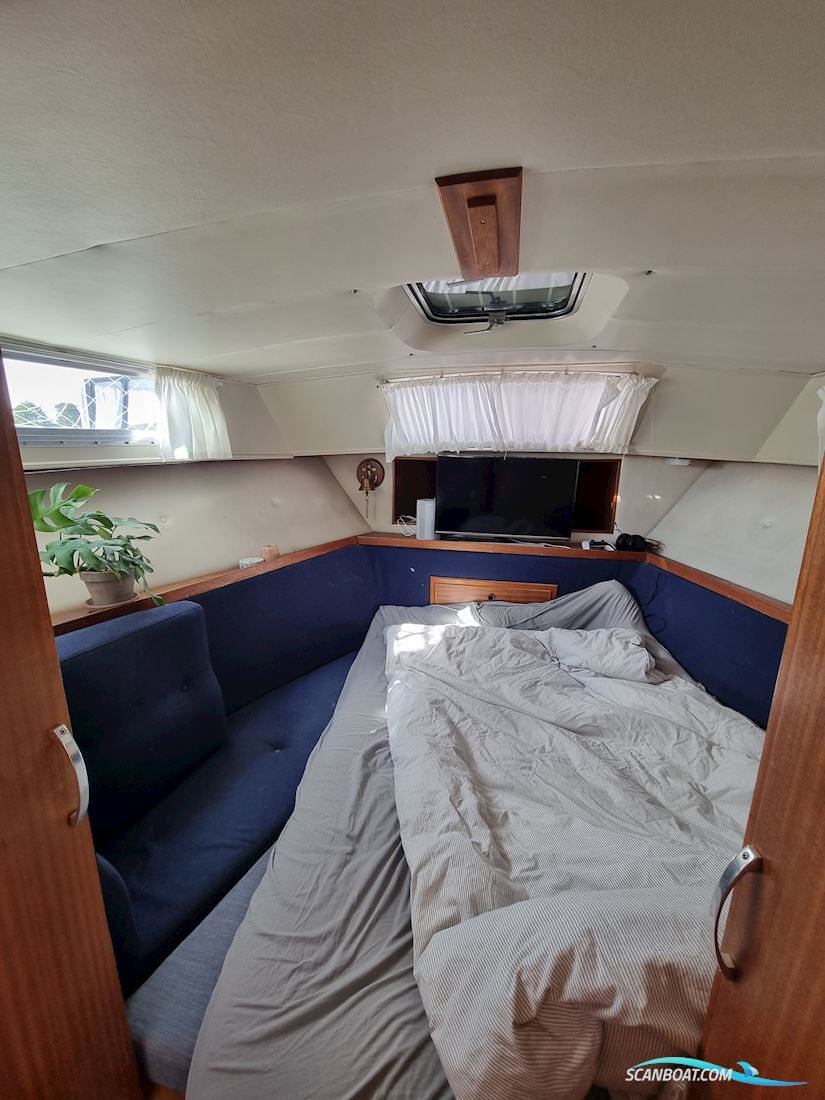 Broom 35 European