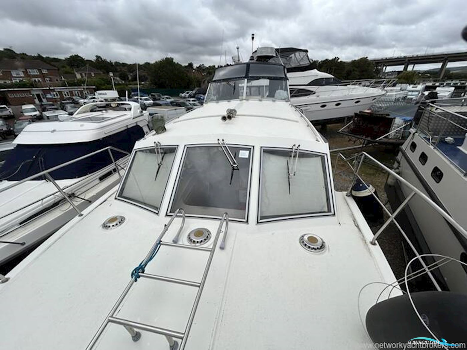 Broom Crown 37