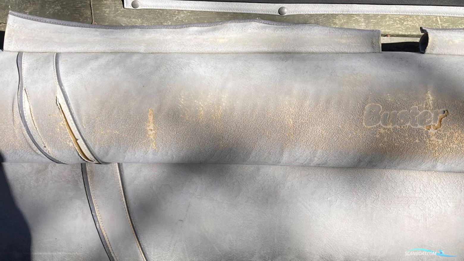 Buster Xxl