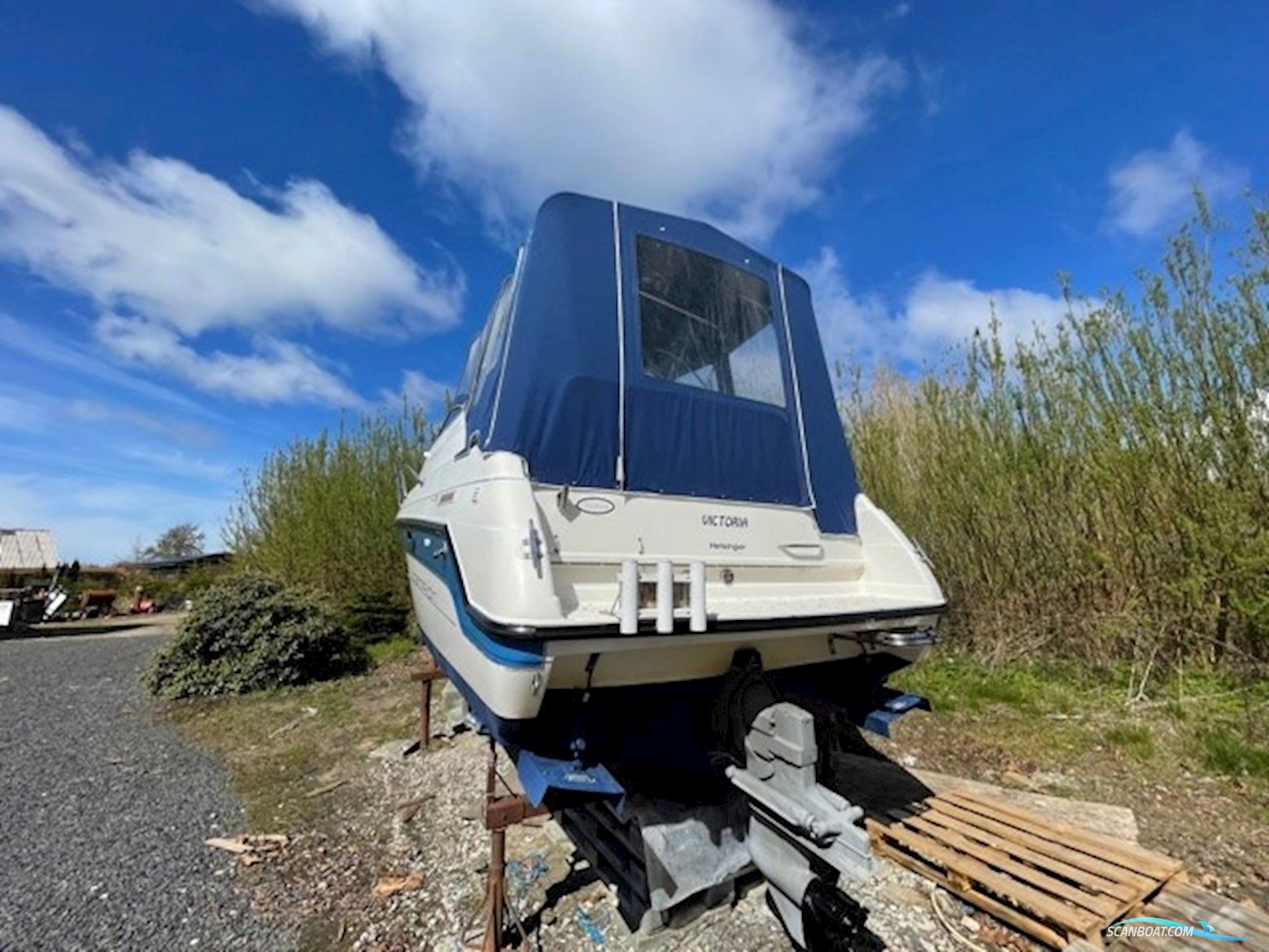 Campion 245 Victoria