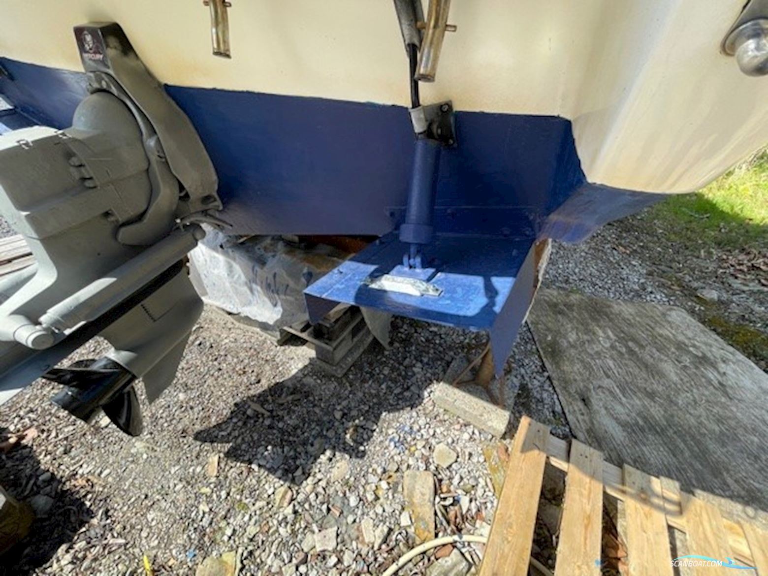 Campion 245 Victoria