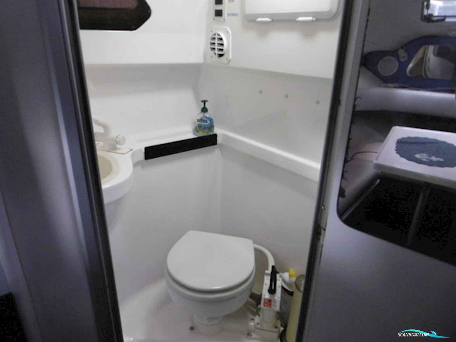 Campion 245 Victoria