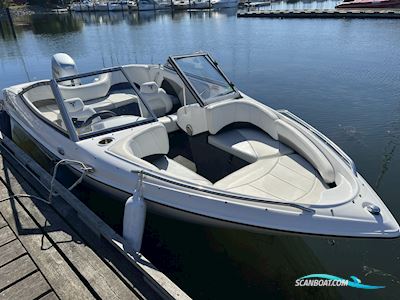 Campion 485 Allante BR M/Trailer Motorbåd 2017, med Honda motor, Danmark