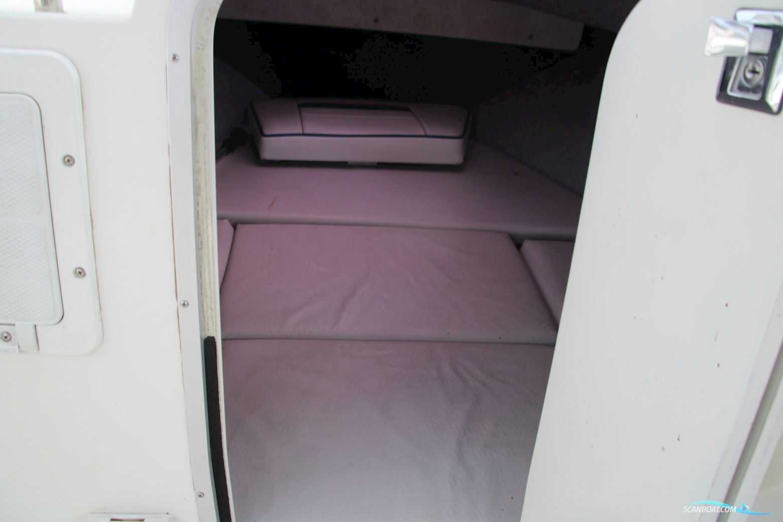 Campion 542 Explorer