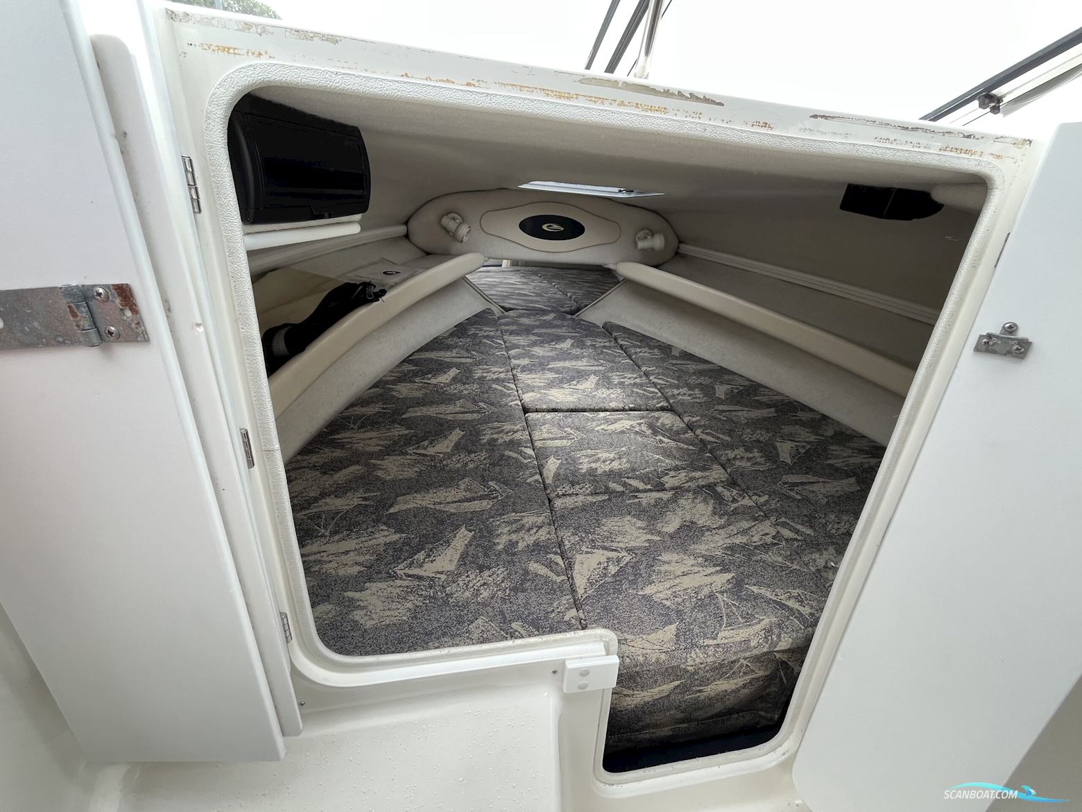 Campion 565 SC Allante