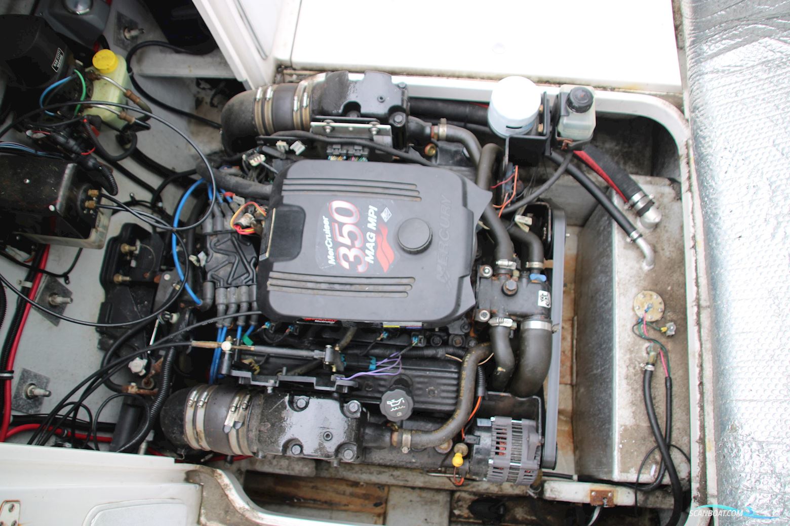 Campion 682 i SC Explorer